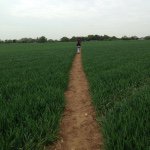 Mark Toombs - @marktoombs - Instagram