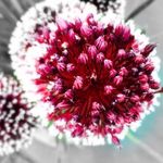 Mark Toombs Mrsh Minstlm - @markmrsh - Instagram