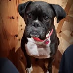 Mark Topping - @mark.topping53 - Instagram