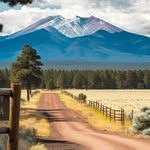 Mark Torrence - @mark.torrence.161 - Instagram
