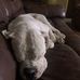 Mark Torrez - Facebook