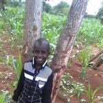Mark Tosh - @tosh5751 - Instagram