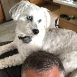 Mark Touchette - @mark.touchette.3 - Instagram