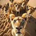 Mark Townsend - Facebook
