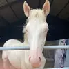 Mark Townsend - @mark.townsend15 - TikTok
