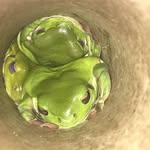 Mark Trafford - @trafford480 - Instagram