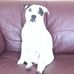 Mark Trafford - Facebook