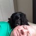 Mark Traina - Facebook
