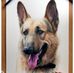 Mark Treleaven - Facebook