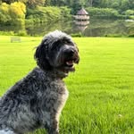 Mark Tremblay - @dogsluvtrux - Instagram