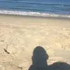 marktrimboli5 - @marktrimboli5 - TikTok