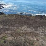 Mark Trimble - @trimble5699 - Instagram