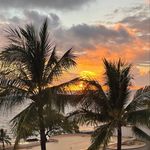 Mark trimble - @trimble9921 - Instagram