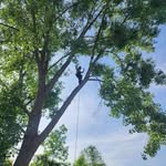 Mark Trombly - @tromcat_ - Instagram