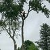 Mark Trombly - Facebook