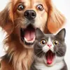 AI Animal Animations - @marktronti8 - TikTok