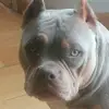 Mark Tron - @marktron3 - TikTok