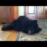 @marktrosper - Instagram