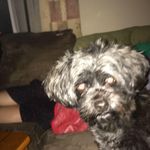Mark Trudeau - @trudeau3709 - Instagram