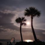 Mark Trudeau - @trudeau8949 - Instagram