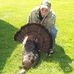 Mark Trumble - Facebook