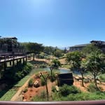 Mark Tseng - @marktfyi - Instagram