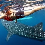 Mark Tseng - @tseng_mark - Instagram