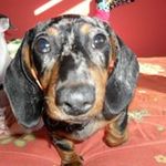 Mark Turcotte - @slayer_2016_ - Instagram