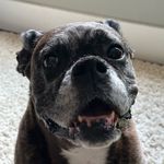 Mark Turcotte - @bigturks204 - Instagram
