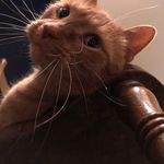 Mark Turcotte - @mark_e_tu - Instagram