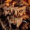 LoneWolf - @markturner654 - TikTok