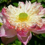 mark turton - @tarry1963 - Instagram