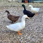 Steve Little - @mark_twining - Instagram