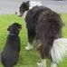 Mark Tynan - Facebook