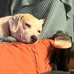 Mark Tyrrell - @marktyrrell61 - Instagram