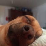 Mark Ulloa - @mark8769527 - Instagram