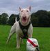 Mark Upton - Facebook