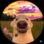 Mark Mark - @markutz_07 - Instagram