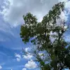 MarkValderama - @markvalderama44 - TikTok
