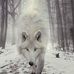 Mark VanCleave - Facebook
