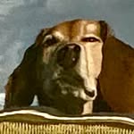 Mark Vancleave - @markdvancleave - Instagram