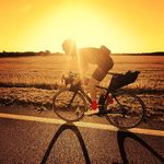 Mark van der Linden - @mark.van.der.linden - Instagram