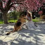 Maria Vandewater - @mariavandewater - Instagram