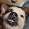 Mark VanDyke - @mark.vandyke8 - TikTok