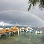 Mark Van Horn - @releasetrout - Instagram