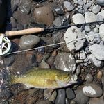 Mark Van Horn - @mark.vanhorn.56 - Instagram