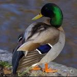 Mark VanHorn - @mark.vanhorn66 - Instagram
