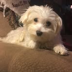 Mark Vanhorn - Facebook