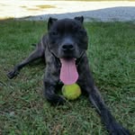 @markvantassell1 - Instagram