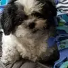 markvantassell - @markvantassell - TikTok